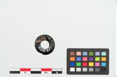 Foto von Lignitring (NHMW-PRAE-023897)